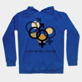 Love is Love Hoodie